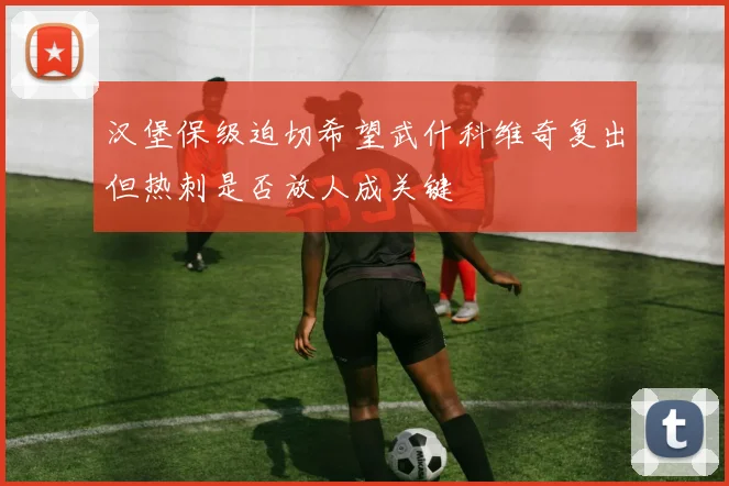 汉堡保级迫切希望武什科维奇复出但热刺是否放人成关键