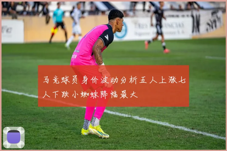 马竞球员身价波动分析五人上涨七人下跌小蜘蛛降幅最大